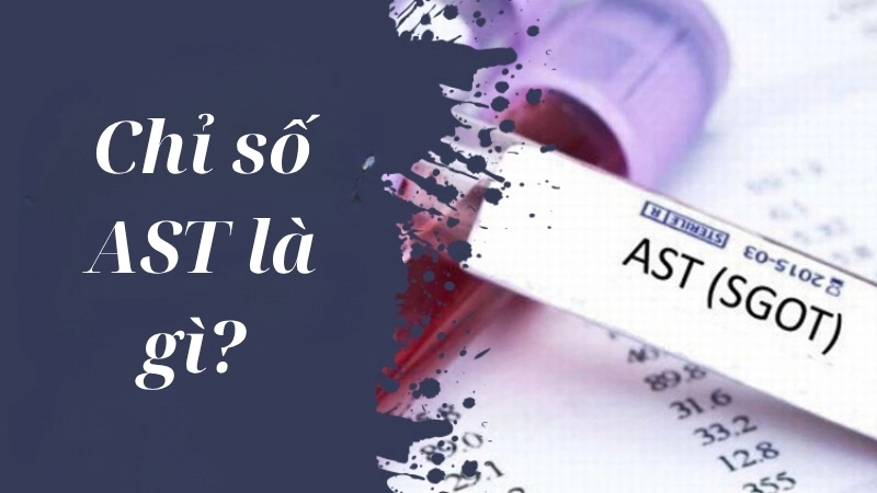 Chỉ số AST là gì? 