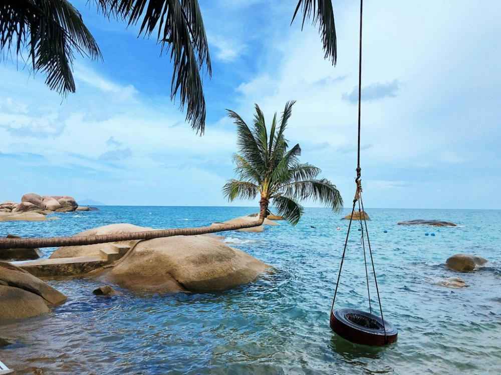 Đừng bỏ lỡ khám phá hòn tre gần Bãi Bàng