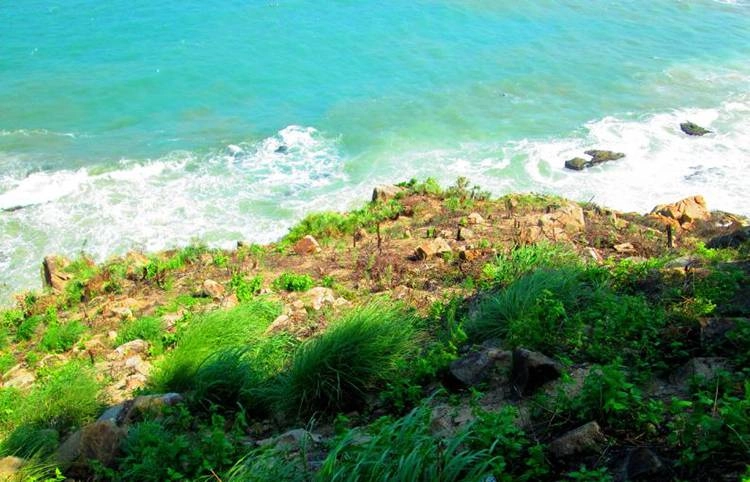 Tham khảo lịch trình tham khảo trong ngày để không bỏ lỡ điều hay