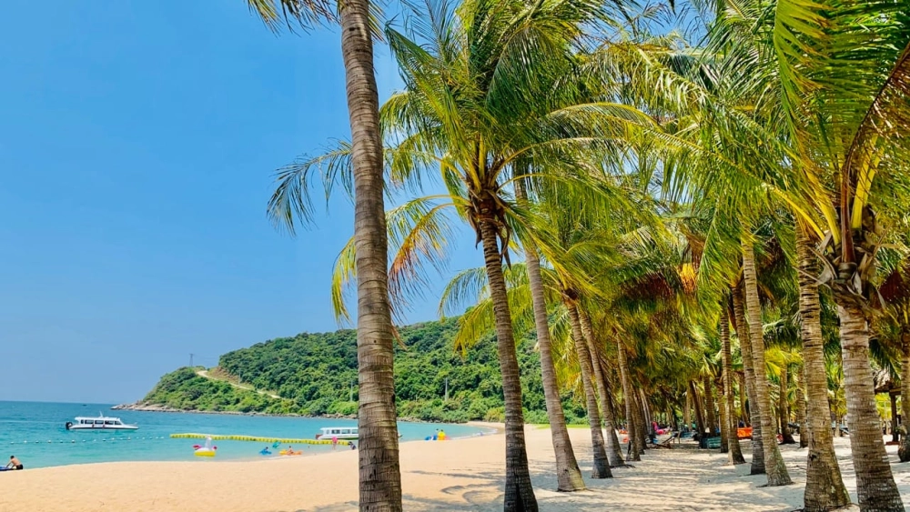 Đừng bỏ lỡ khoảng thời gian lý tưởng để khám phá bãi ông