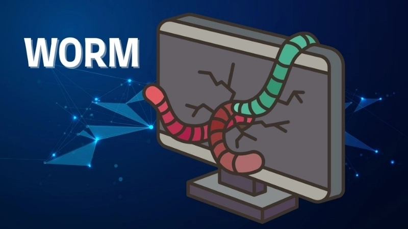 Làm thế nào để phòng tránh worm sâu máy tính