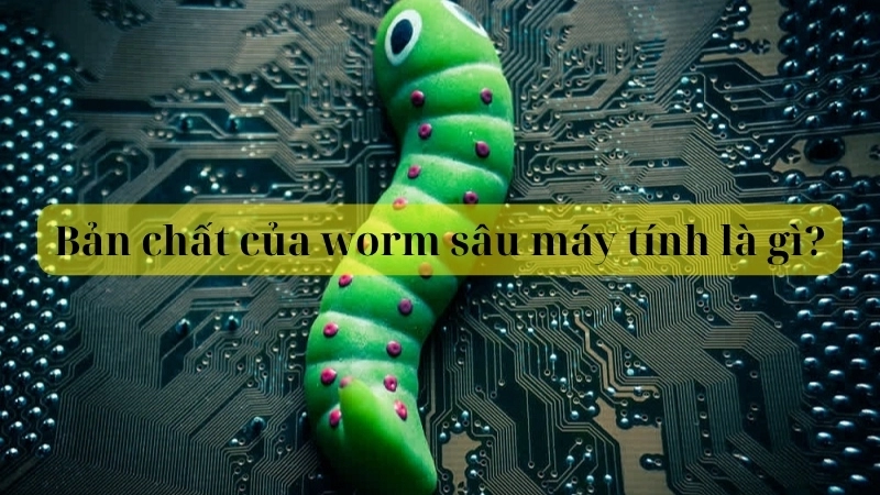 Bản chất của worm sâu máy tính là gì?