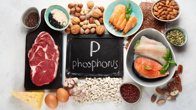 Phốt pho là chất khoáng hỗ trợ canxi trong việc tạo nên cấu trúc răng và xương