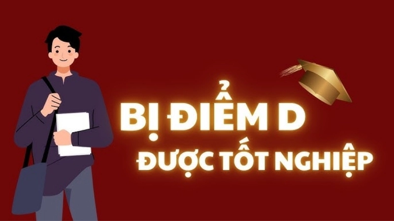 Mẹo và giải pháp khi bị điểm D