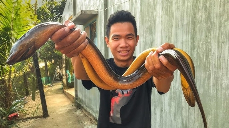 Triệu chứng khi bị lươn cắn