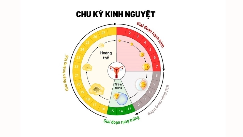 Mẹo và biện pháp chữa trị khi bị trễ kinh 2 tuần