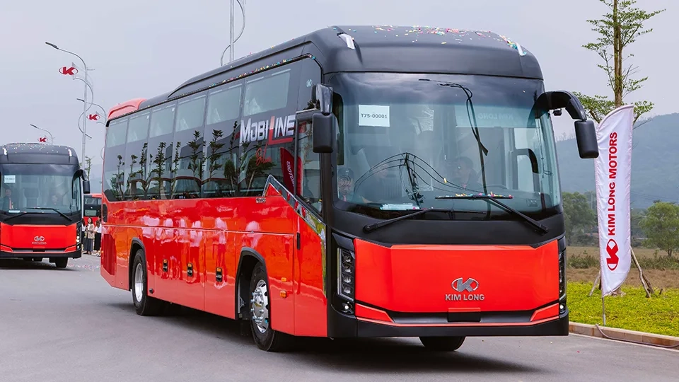 Cập nhật nhanh cách di chuyển đến bãi biển Bình Hưng