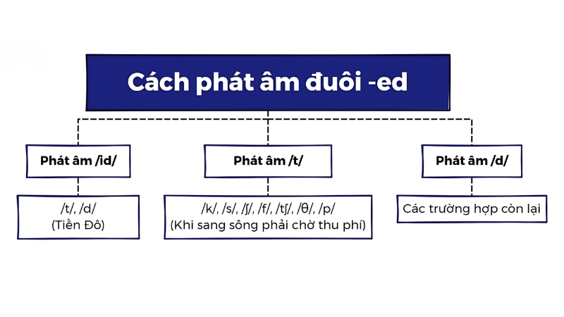 cách phát âm đuôi ED trong tiếng Anh