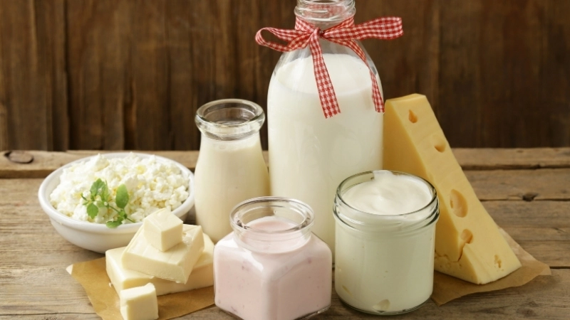 Sữa và các sản phẩm từ sữa như sữa chua, phô mai chứa lactose