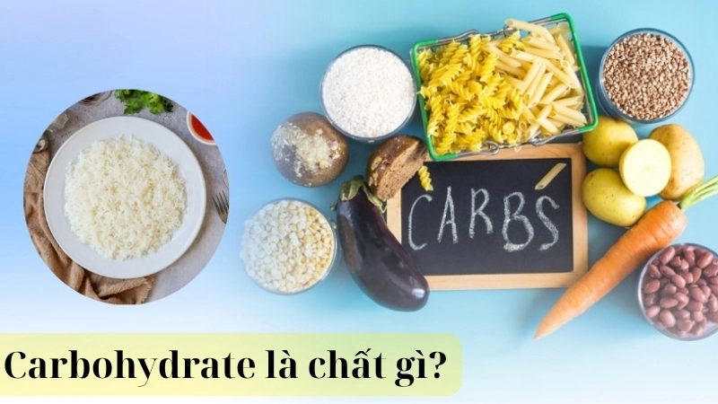 Carbohydrate là chất gì?