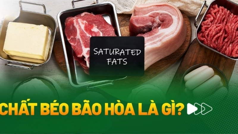 Chất béo bão hòa là gì?