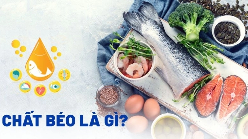 Chất béo là gì? 