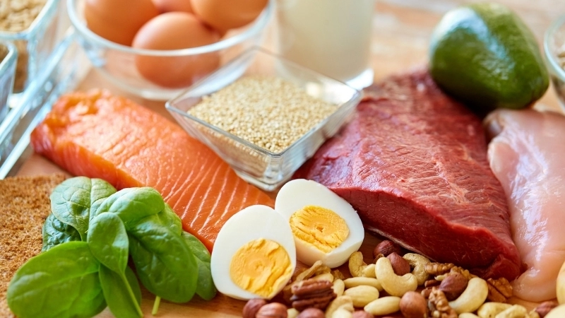 Chất đạm là dưỡng chất quan trọng cho cơ thể con người