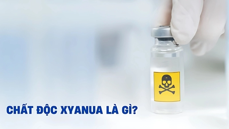 Chất độc xyanua là gì?