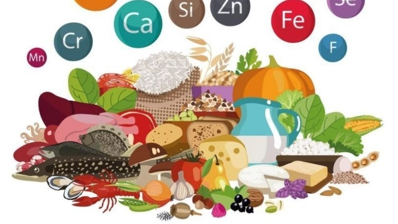 Vai trò của các chất khoáng đối với cơ thể