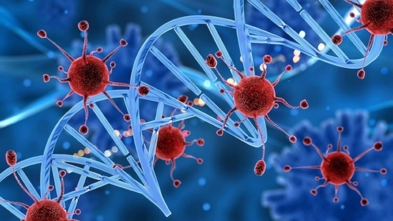  Các tổn thương DNA lặp đi lặp lại do gốc tự do có thể dẫn đến đột biến gen 