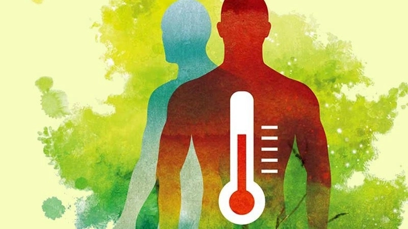 Nhờ vào vai trò trong lưu thông máu và điều tiết hoạt động của các enzyme, sắt giúp giữ ổn định nhiệt độ cơ thể