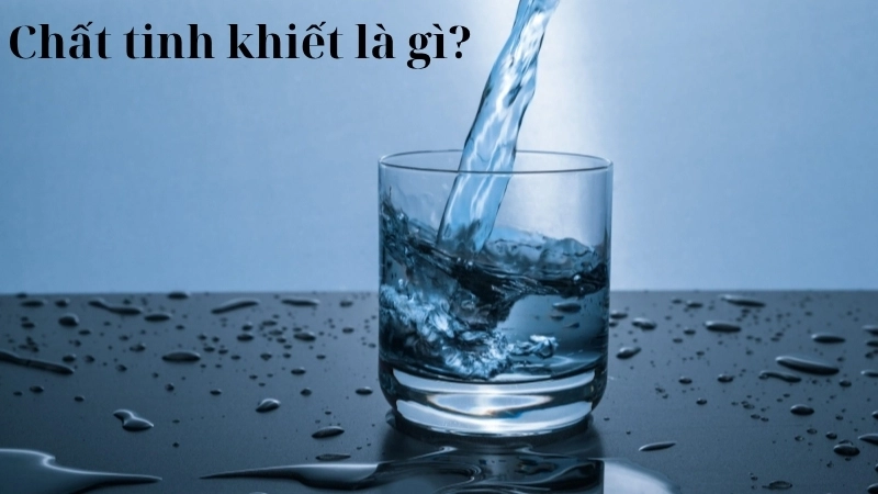 Chất tinh khiết là gì?