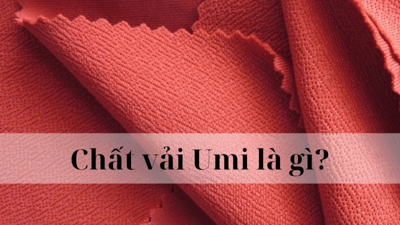 Chất vải Umi là gì?