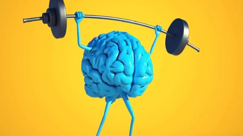 Chất xám là nơi tập trung chủ yếu các neuron