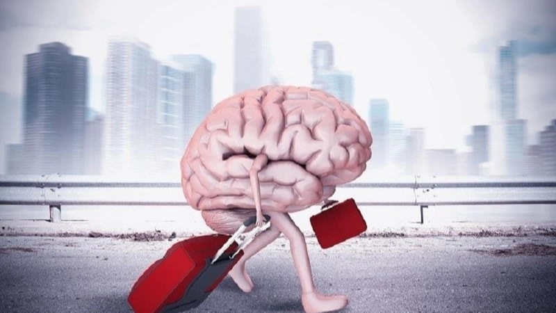 Vai trò của chất xám đối với đời sống con người