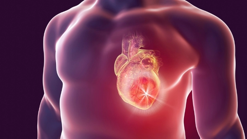 Chất xơ giúp giảm cholesterol xấu bảo vệ tim mạch
