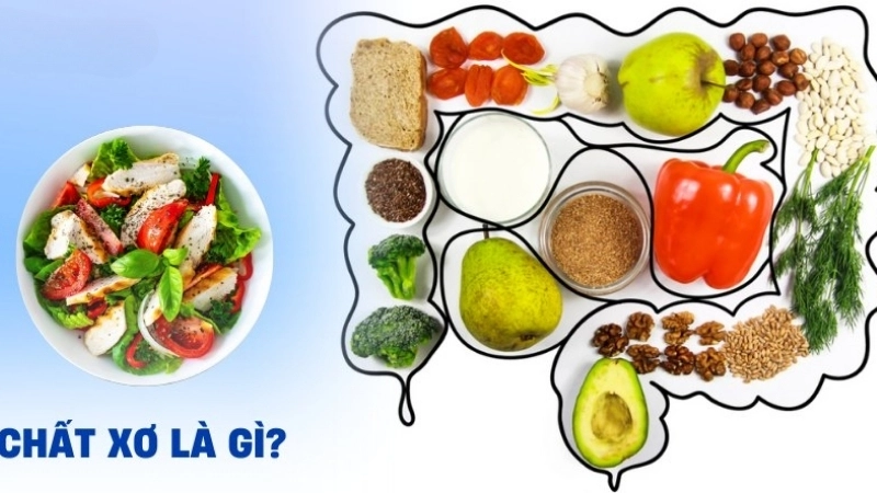 Chất xơ là gì? 