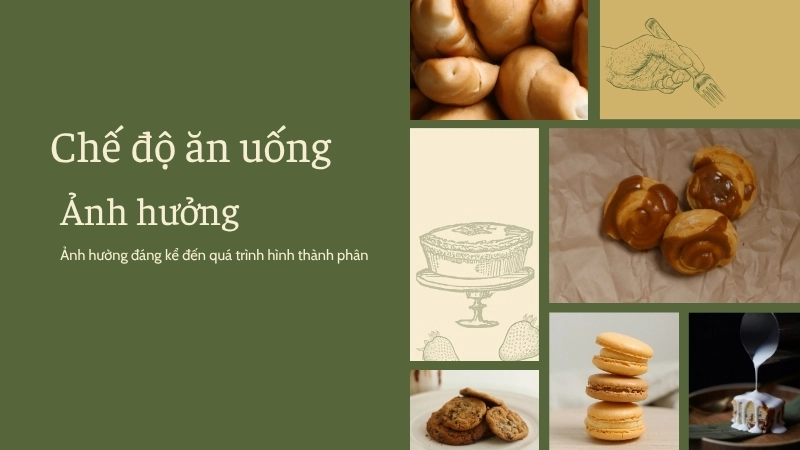 Chế độ ăn uống và lượng nước nạp vào cơ thể ảnh hưởng đáng kể đến quá trình hình thành phân