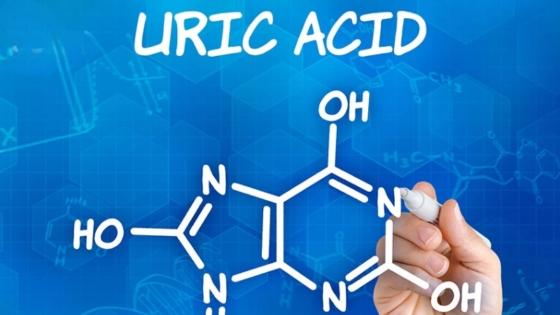Ý nghĩa của chỉ số acid uric trong chẩn đoán bệnh