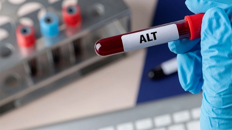 Chỉ số ALT thấp có đáng lo?