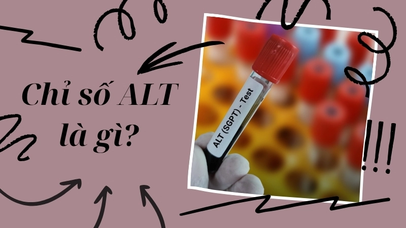ALT là chỉ số gì/