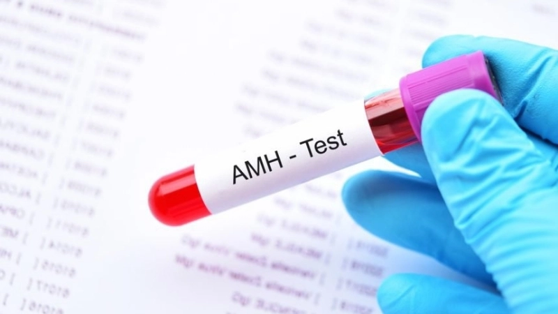 Chỉ số AMH bao nhiêu là thấp?