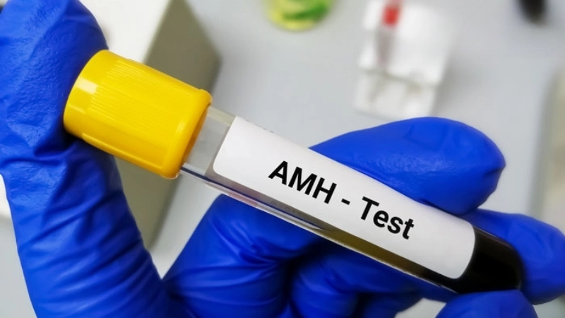 Ăn gì để tăng chỉ số AMH tự nhiên?