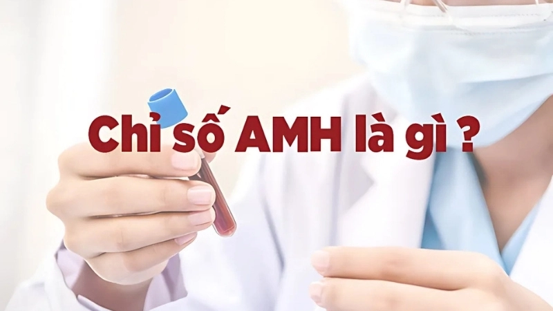 Chỉ số BMR là gì?