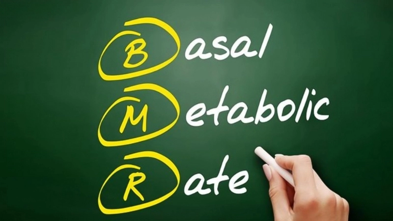 Chỉ số BMR bao nhiêu là bình thường?