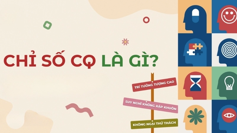 Chỉ số CQ là gì?