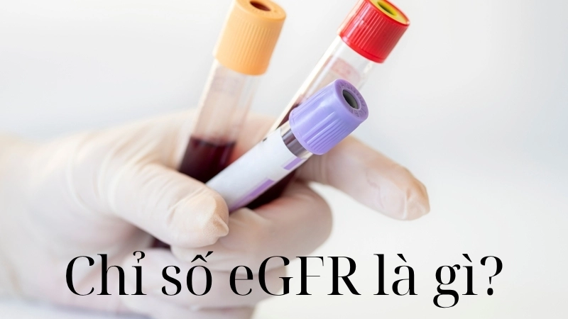 Chỉ số eGFR là gì?