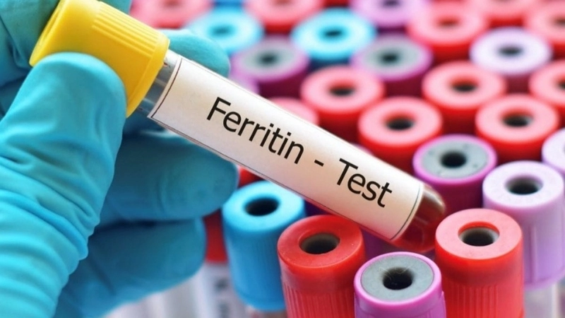 Ý nghĩa của chỉ số ferritin bất thường