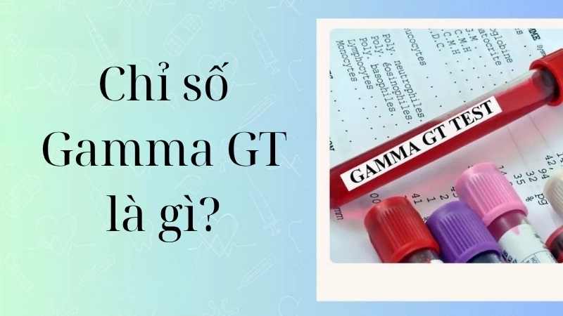 Chỉ số Gamma GT là gì?