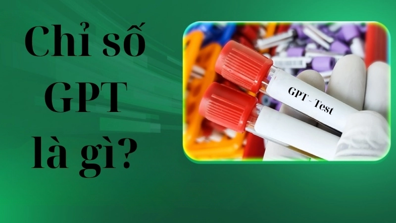 Chỉ số GPT là gì?