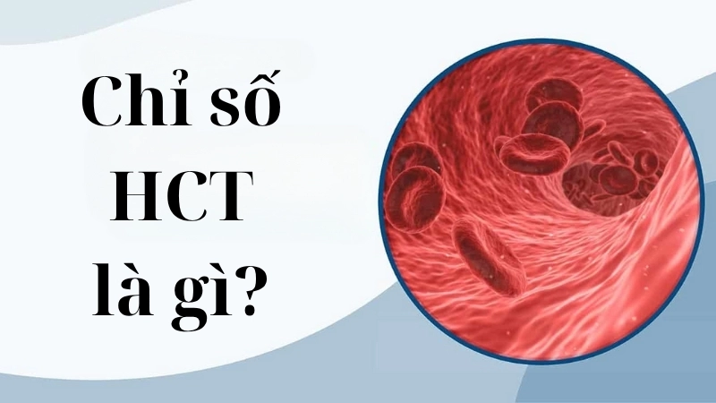Chỉ số HCT là gì?