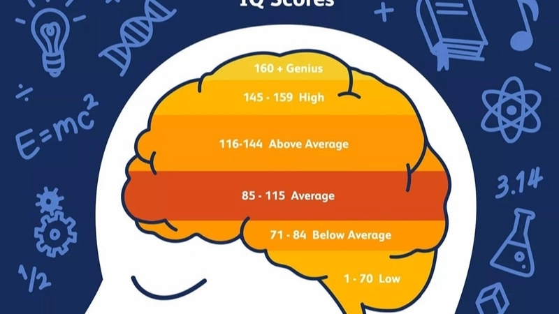 Tầm quan trọng của chỉ số IQ trong đời sống