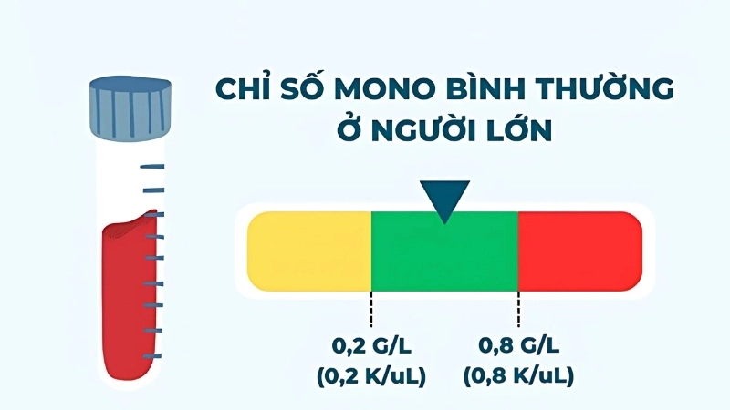 Chỉ số mono bao nhiêu là bình thường?