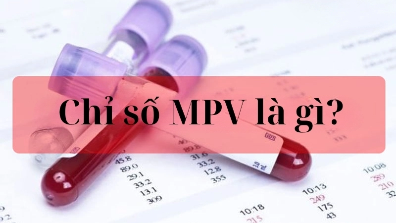 Chỉ số MPV là gì?
