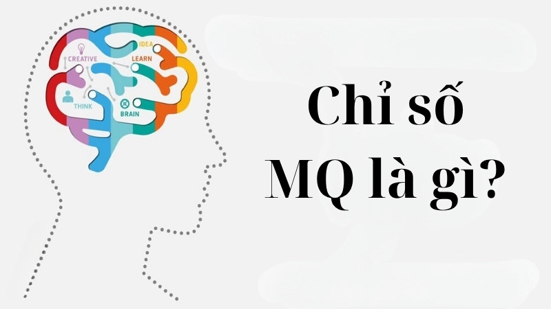 Chỉ số MQ là gì?