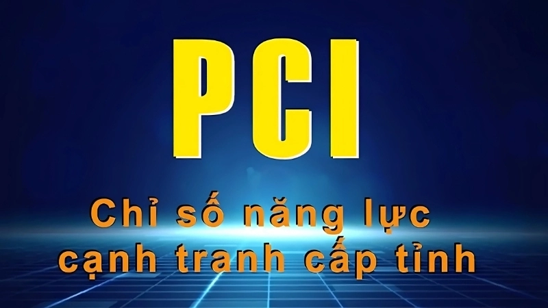 Cấu trúc của chỉ số PCI