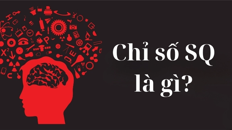 Chỉ số SQ là gì?