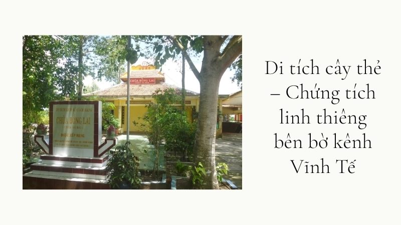 Di tích cây thẻ – Chứng tích linh thiêng bên bờ kênh Vĩnh Tế