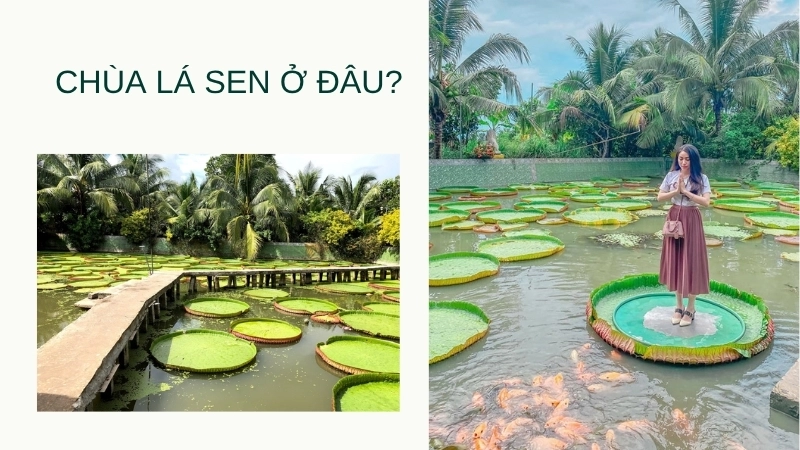 Chùa lá sen ở đâu?