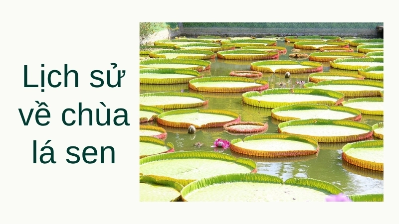 Lịch sử về chùa lá sen